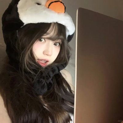 狗的生涯